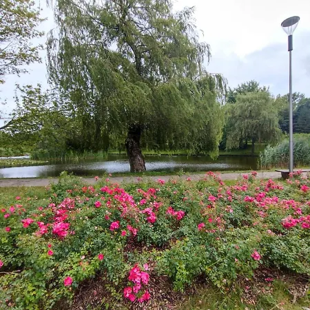 Silesia Comforts Katowice, Self Check Chorzów