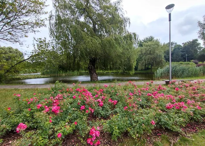 Silesia Comforts Katowice, Self Check Chorzów